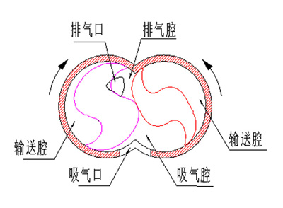 對(duì)稱爪型單級(jí)干式真空泵